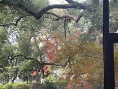 -浙江西子宾馆·瑶园咖啡厅