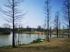 -上海长兴岛郊野公园