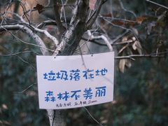 -青龙山国家森林公园