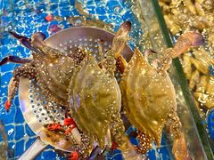 -木木鲜海鲜面(天一店)
