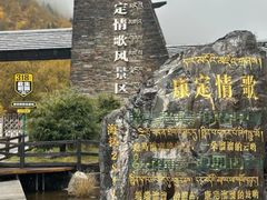 -老字号怡玺·藿香雅鱼(20年雅安店)