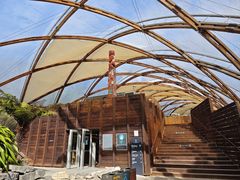 -怀托摩萤火虫洞