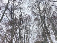 -花溪公园