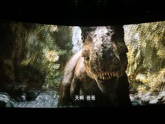 -金逸影城(武汉人信汇IMAX店)