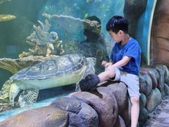 -华夏文旅海洋公园