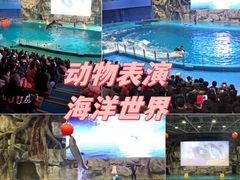 -威海华夏城景区