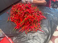 -笨豆腐居民楼菜馆•江西小炒(天津开发区店)