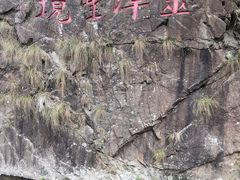 -宁波五龙潭景区