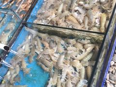 -江杨农产品批发市场