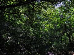 -龙洞风景区-藏龙涧