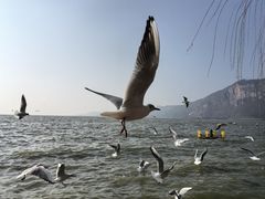 -滇池海埂公园