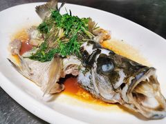 清蒸红油鱼-八仔大富楼·河鲜(西江店)