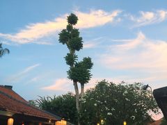 -Mai Mai Restaurant