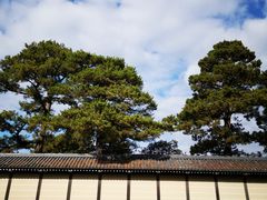 -京都御所