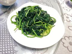 -南燕湾渔家码头