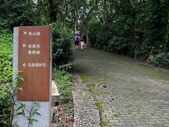 -滴水岩森林公园