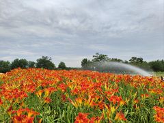 -汉长安城未央宫国家考古遗址公园