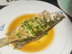 -小天鹅戴斯酒店鲸鲨百汇创作料理