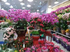 -双季花艺园艺市场(浦东店)