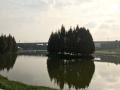 -秀丽东方