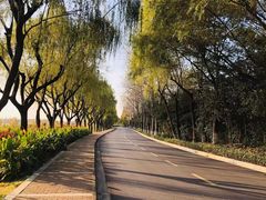 -太阳岛旅游度假区