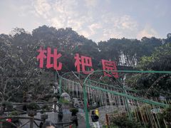-枇杷园食为鲜火锅(南山店)