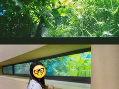 -大芬美术馆