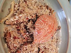 -写庭·鱼鲜川菜·宴请(铁像寺水街店)