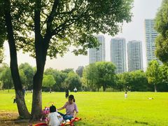 -重庆彩云湖湿地公园