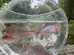 -蓝天路(地铁站)