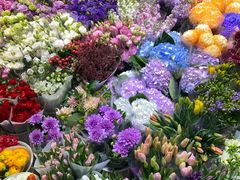 -双季花艺园艺市场(浦东店)