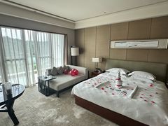 -河源万绿湖美思威尔顿酒店