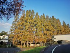 -杭州雅谷泉山庄酒店-餐厅