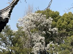 -秋霞圃