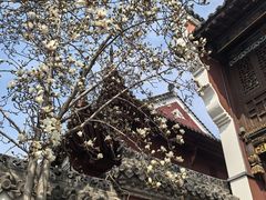 -长春观