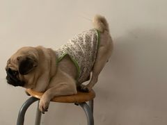 -万象影城(深圳布吉万象汇IMAX店)