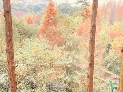 -重庆彩云湖湿地公园