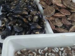 -宾朋海鲜特色美食餐厅·纯手工鲅鱼水饺(兴海路店)