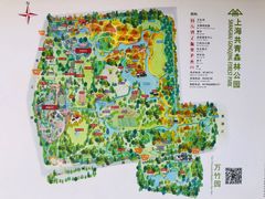 -上海共青森林公园