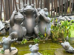-江门古劳水乡旅游区