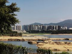 -立新湖公园