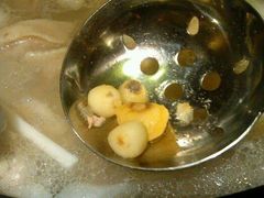 野生马蹄-润园四季椰子鸡火锅(海上世界店)