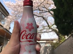-灌篮高手动画打卡地