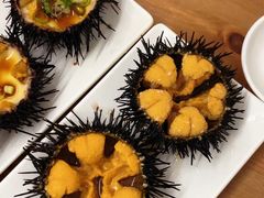 -海胆小馆(东北水饺·春柳店)