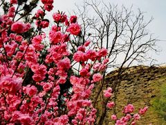 -北京明城墙遗址公园