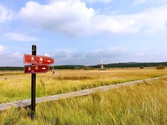 -塞罕坝国家级自然保护区