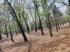 -秦皇岛野生动物园