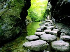 -牛背梁国家森林公园
