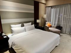 -南桥绿地铂骊酒店