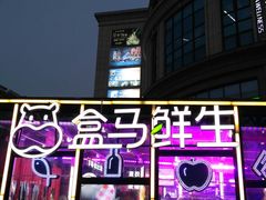 -金汇四季广场